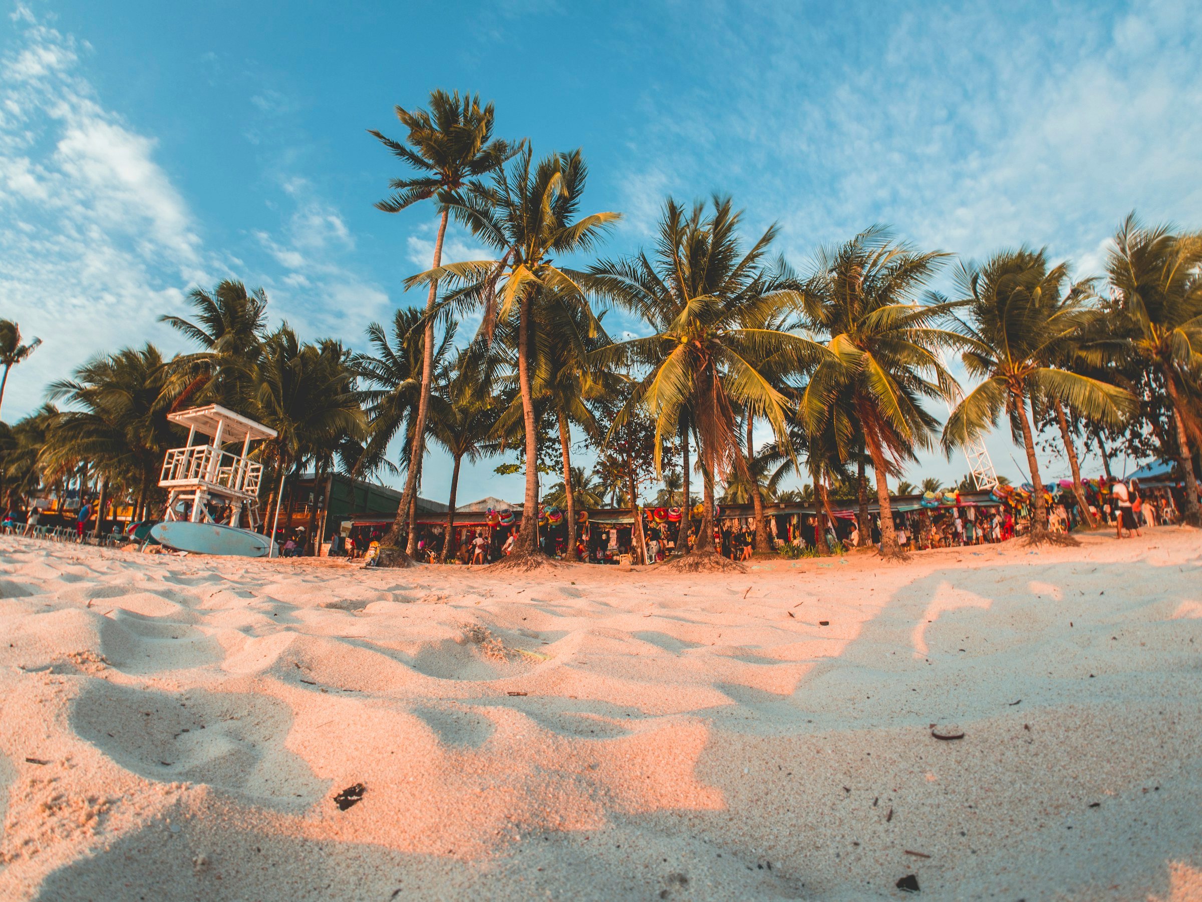 Palms along White Beach, Boracay