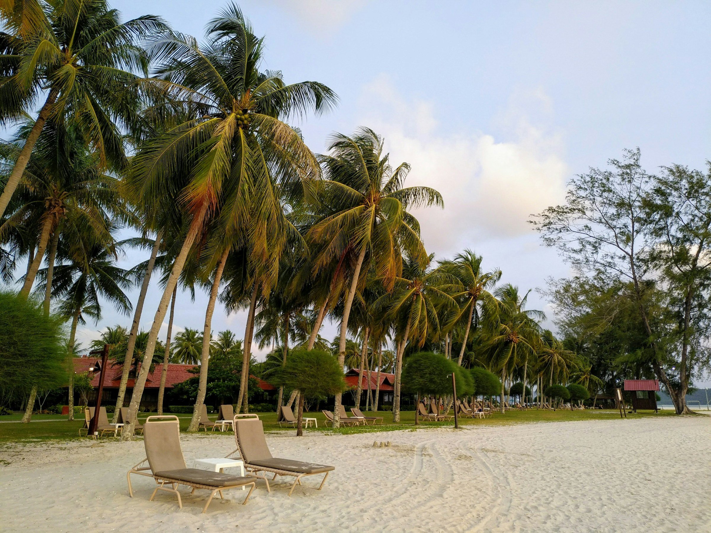 Palms on a Langkawi beach