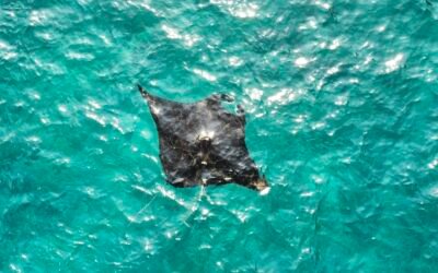 Where to stay in Nusa Penida: areas, hotels and how to get there