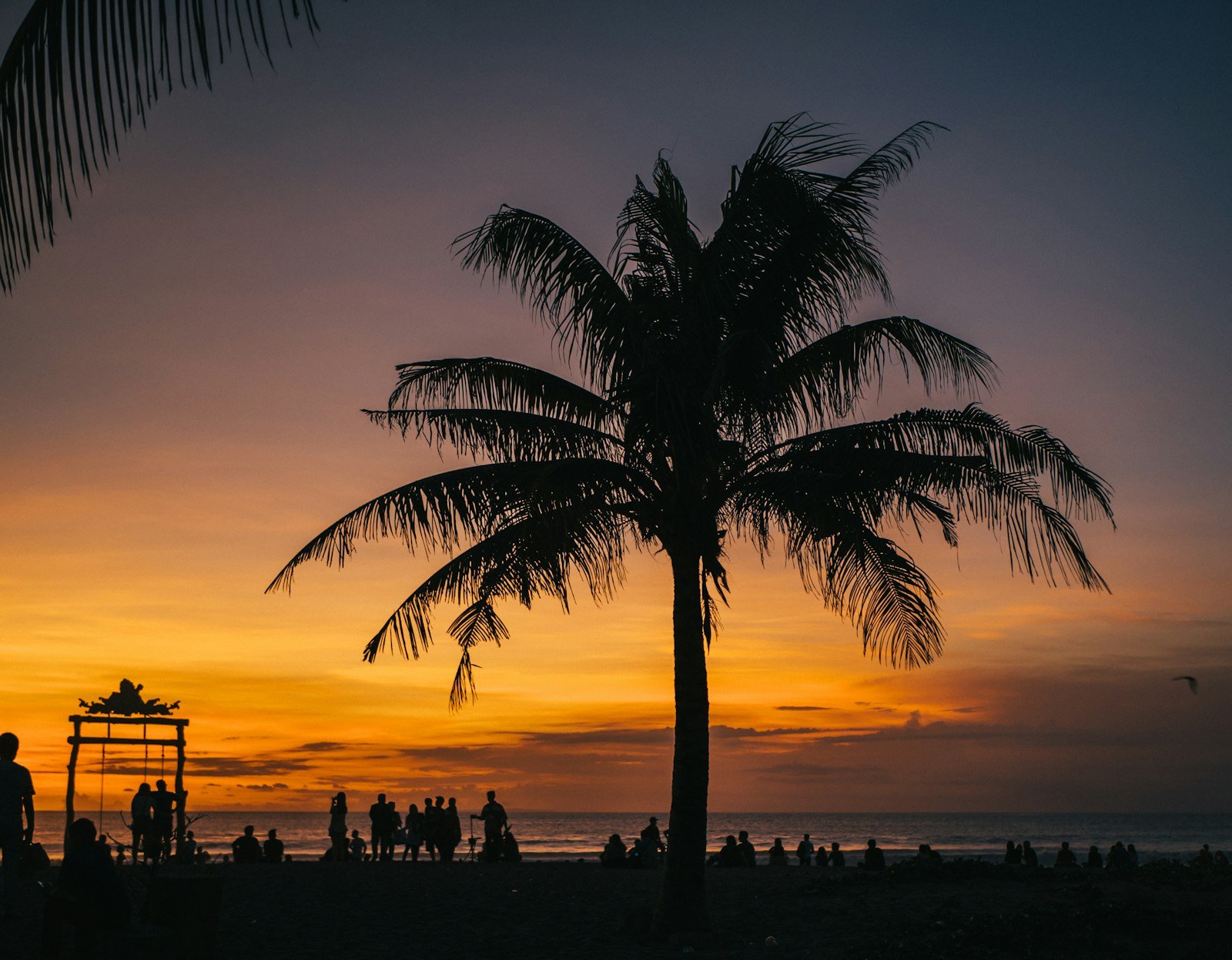 Palm trees at sunset, Seminyak beach