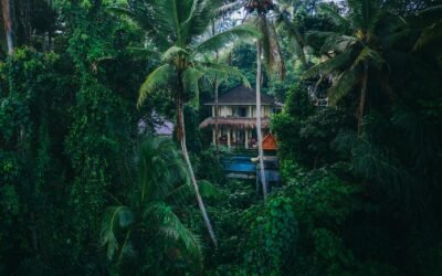 The best boutique hotels in Ubud, Bali