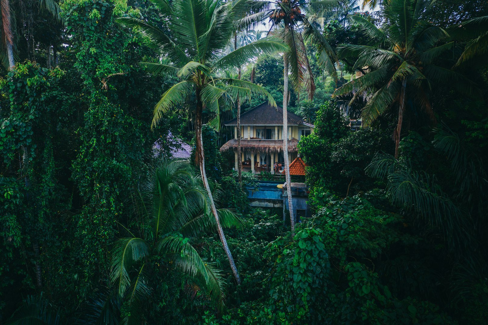 Villa in the jungle near Ubud, Bali